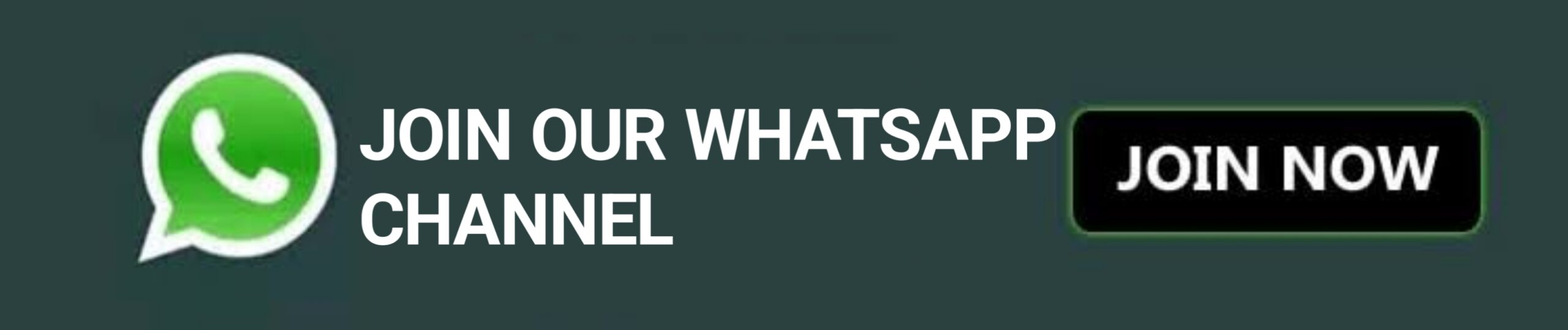 Whatsapp channel 